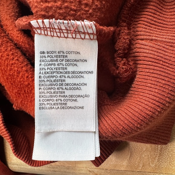 The North Face Men's Rust Hoodie - Picture 6 of 7
